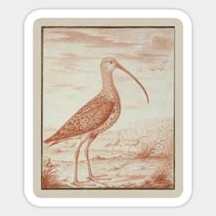 Curlews and Ducks by Nicolas Robert Sticker